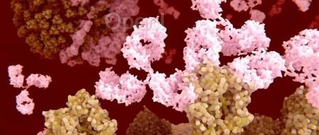 Nature:科学家首次利用 AI 独立设计抗体