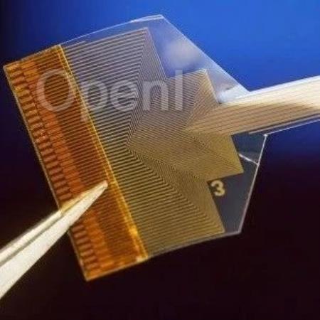 加州大学——新型的大脑植入物读取深层神经活动