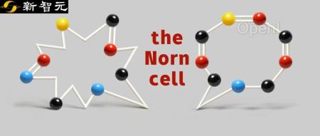 AI干6周=生物学家134年!斯坦福生物学基础模型开启生物学AI时代
