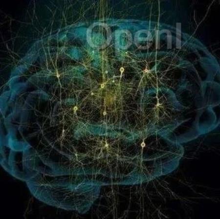 《自然》:眼睛竟是大脑的免疫屏障!耶鲁团队发现,眼睛后部与脑膜淋巴管共享回路,具有统一的免疫反应丨科学大发现