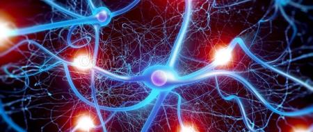 ICLR 2024 | 连续学习不怕丢西瓜捡芝麻,神经形态方法保护旧知识