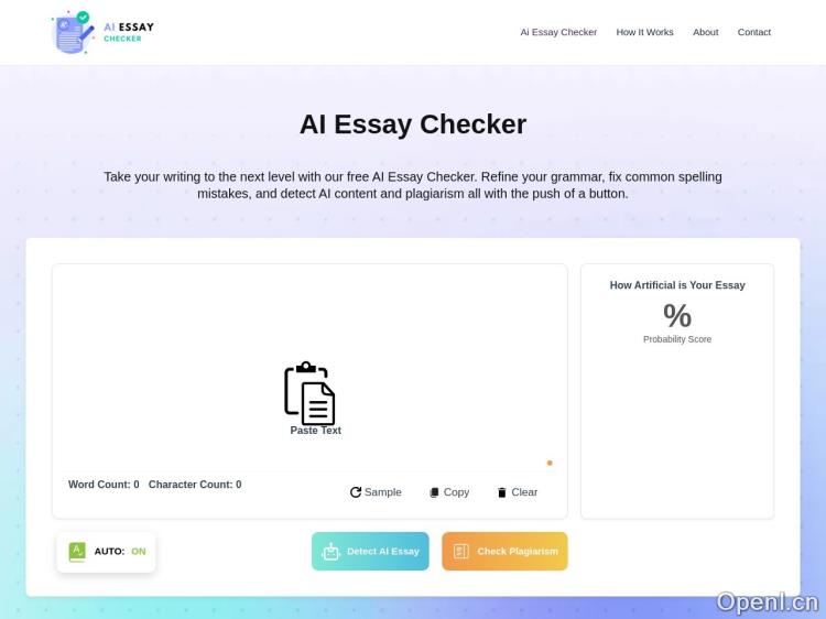 AI Essay Checker