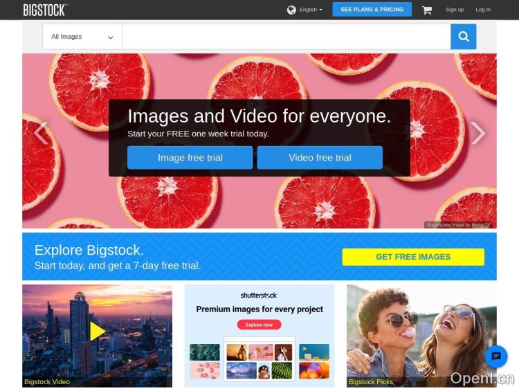 Bigstock