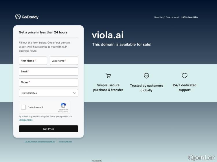Viola AI