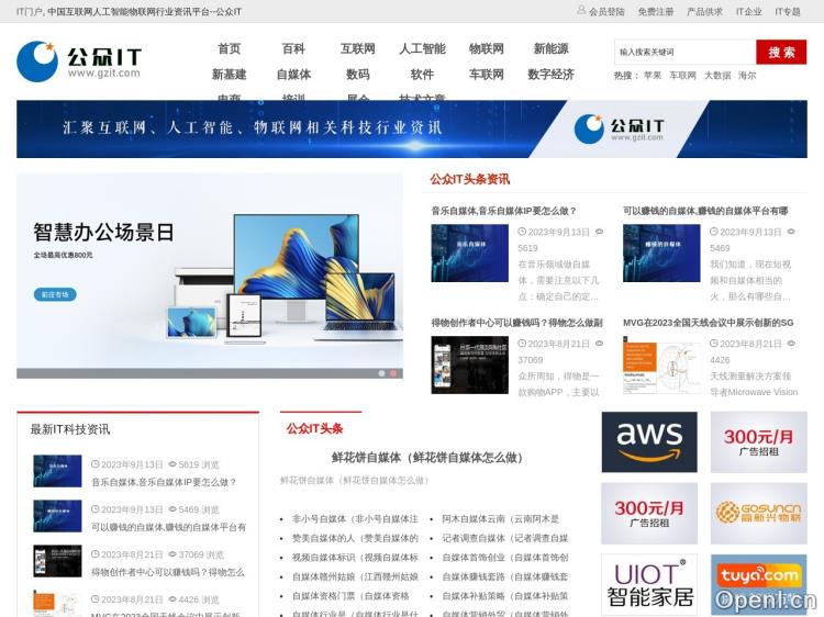 公众IT