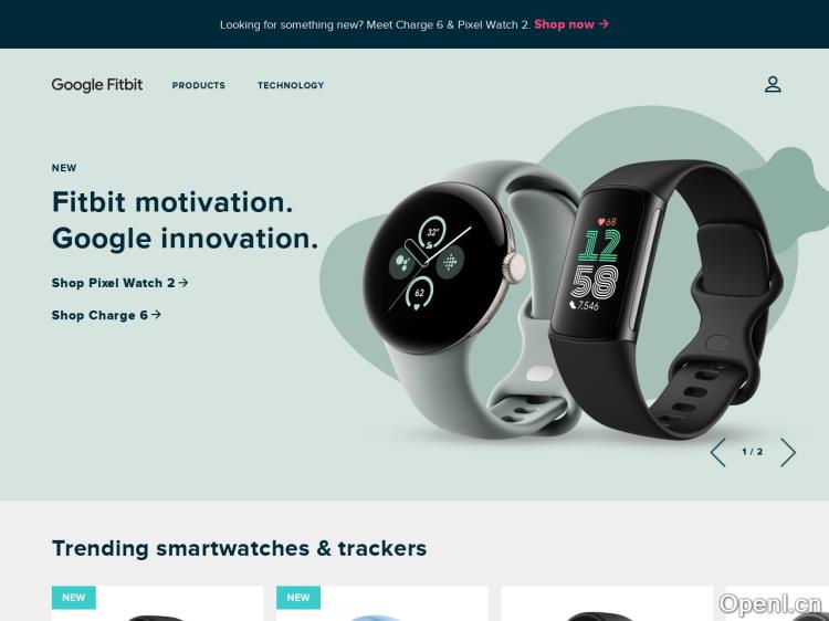 Fitbit