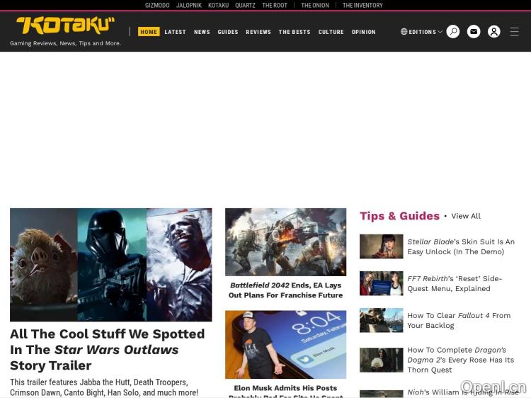 Video Game Reviewer