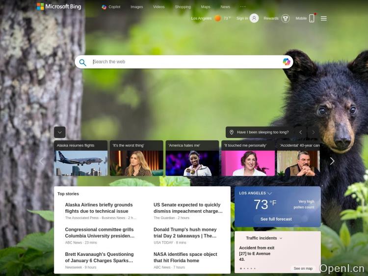 Bing Image Search