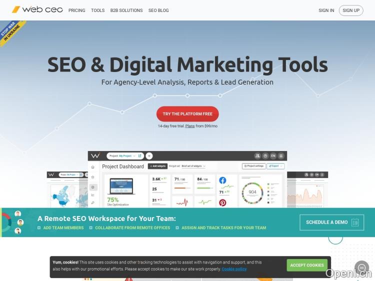 Web CEO