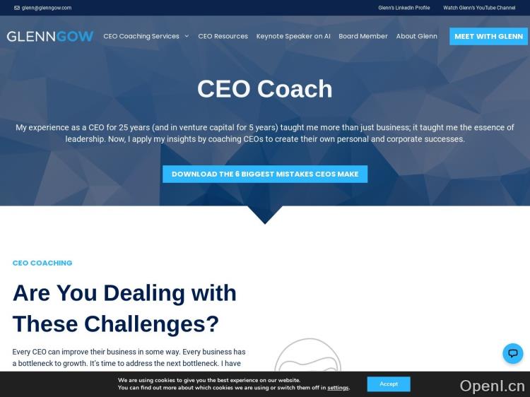 AI CEO Coach