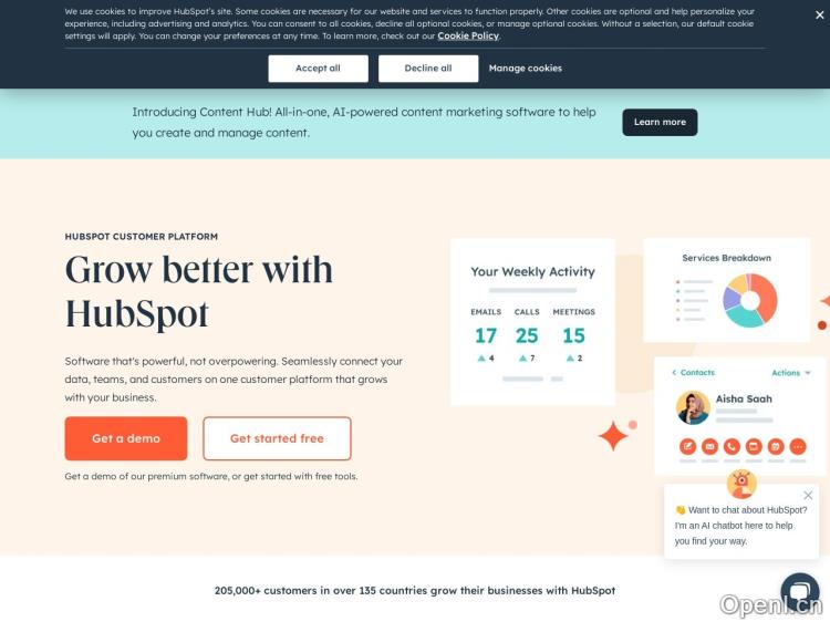 HubSpot AI