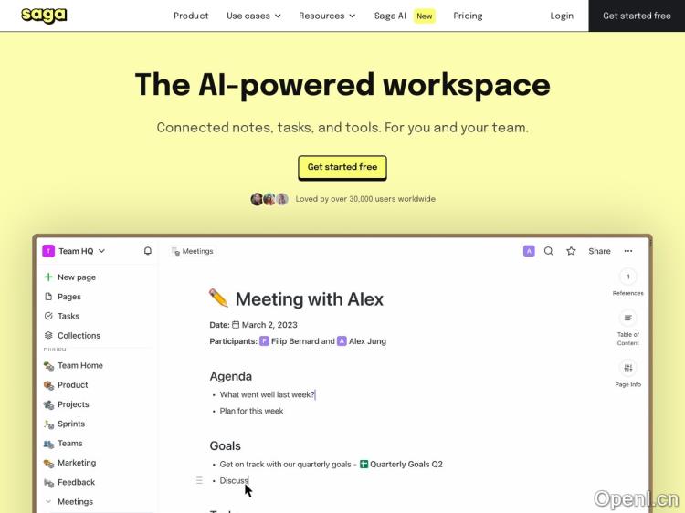 Saga AI 写作助手