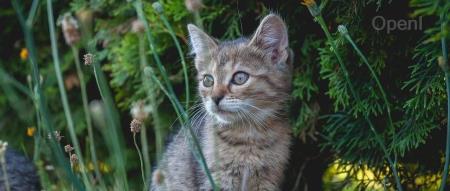 任正非禁用“遥遥领先”?余承东回应;出门问问通过上市聆讯,或成港股 AIGC 第一股;大厂不再强制要员工设定OKR|AI周报