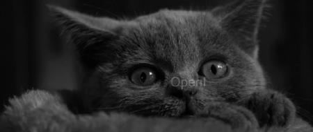 研究了两年后，我发现领域的开山之作是瞎编的