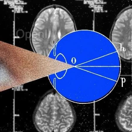 埃隆·马斯克的人造视力能看到啥？