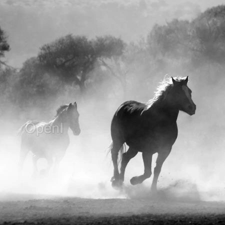 大模型的“瘦身”革命:巨头逐鹿轻量化大模型 | 大模型一周大事