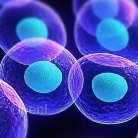 Science打破常规认识：一种罕见的细胞类型以令人惊讶的方式保护我们