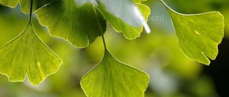 李彦宏内部讲话曝光：闭源模型才能“遥遥领先”！