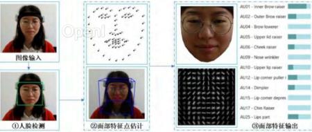 基于多模态数据的学习者专注度研究