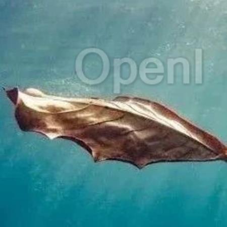 阿里、蚂蚁、昇腾、中科加禾精彩分享 AI 基础设施洞见,现购票可享受 9 折优惠 |AICon