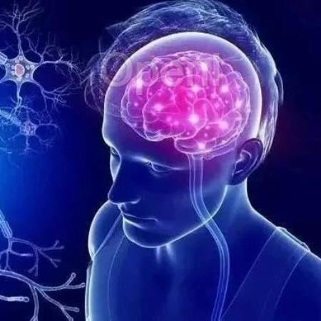 打破认知，记忆并非大脑专利！《科学》发现脊髓10分钟就能学习新本领