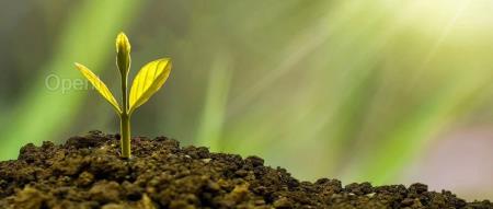 专访华润银行：中小银行如何突围“数据治理”的层层障碍？