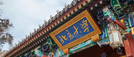 一阶优化算法启发,北大林宙辰团队提出具有万有逼近性质的神经网络架构的设计方法