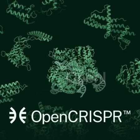 AI可以改写人类基因组吗?首次由AI从头设计的基因编辑器成功编辑人类细胞中DNA