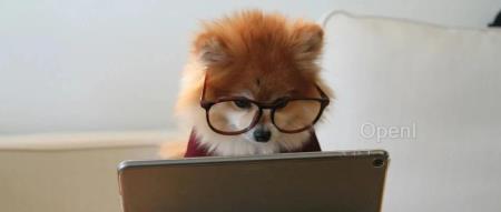 李彦宏说“人人都是开发者”，你知道哪类岗位在未来更有竞争力吗？| 极客时间