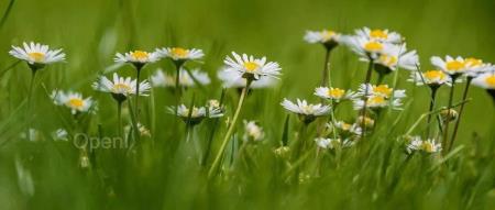 马上消费:全国首个零售金融大模型应用情况如何了?