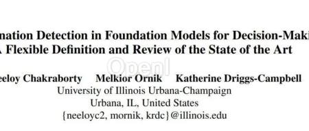 《大模型决策制定中的幻觉检测》综述