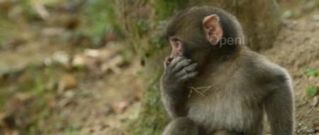 我处理了 5 亿 GPT tokens 后：langchain、RAG 等都没什么用