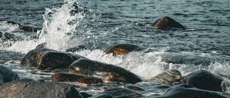 芯片反击,英特尔和AMD惨了!国内电信运营商逐步淘汰外国芯片,网友:这只是个开始