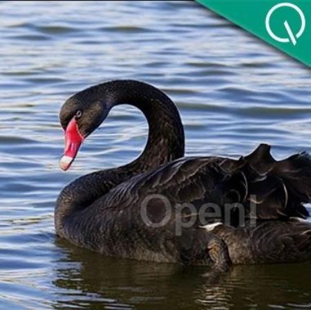 北大字节开辟图像生成新范式!超越Sora核心组件DiT,不再预测下一个token