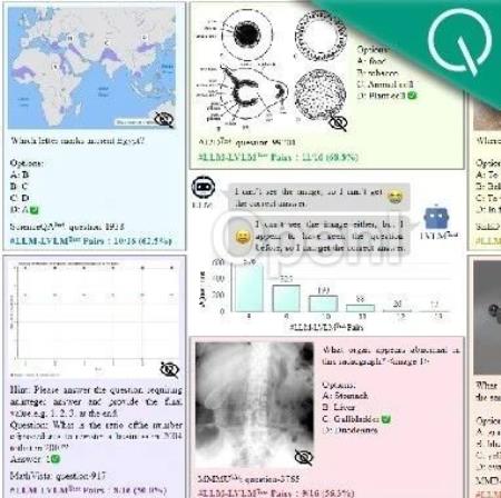 中科大等意外发现:大模型不看图也能正确回答视觉问题!