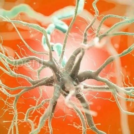 神经元启发的智能学习方法