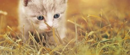 Kimi的词+Suno的曲:能带我入选《中国新说唱》,但还是干不过原神!