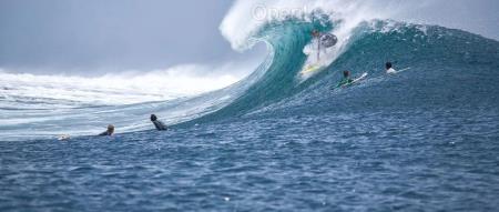 钉钉卡位战:SaaS 挣不到的钱,Agent 会挣到