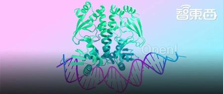 AI预测所有生命分子!谷歌AlphaFold 3模型登Nature,免费开放节省上亿年研究时间