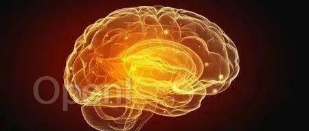 《科学》重磅专题：人类为何会受神经精神疾病的折磨？历时十年，科学家有了新发现