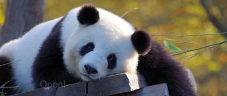 巨头们涌入的医疗大模型,何时迎来最好的商业时代?