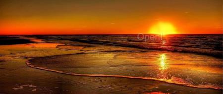 裁员、人去楼空,这家估值 80 亿的 AI 编程工具独角兽不行了?