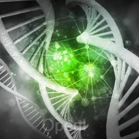 《细胞》：人类生命的第一步，有了新发现！