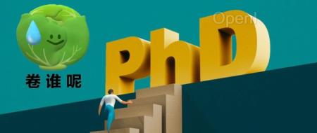 我手握多篇顶会一作,引用量几百,却连个像样的博士offer都申请不到