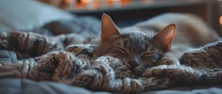 李飞飞首次创业:瞄准空间智能;巴菲特股东大会谈AI:与核武器相似;69岁比尔·盖茨被曝主导微软OpenAI联姻 | AI 周报