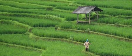 AI大模型如何在各行业跑通业务闭环？