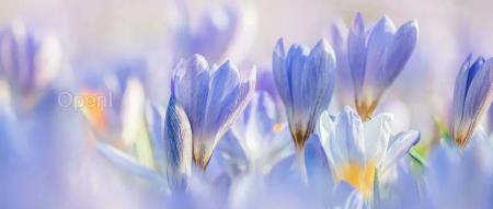 谷歌、OpenAI 都搞起了AI “造人”?创始团队:开源AI基因编辑器只是冰山一角