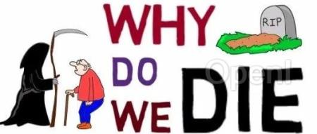 人类寿命极限只有120岁？诺奖得主发问：为何我们非得死？