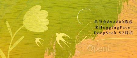 单节点8xA800跑起来HuggingFace DeepSeek V2踩坑