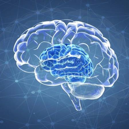 Science：首次全面分析大脑发育过程中的转录本异构体